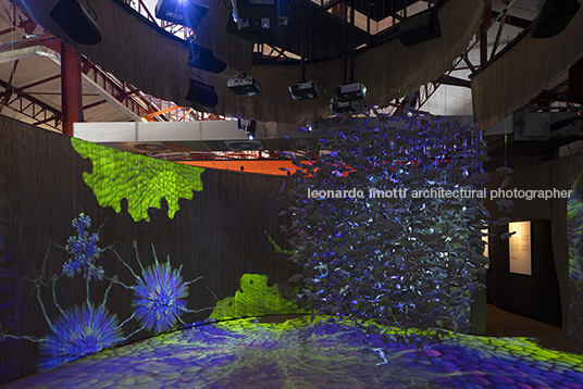 museu das amazonias be.bo.