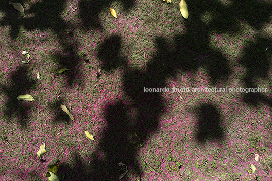 trancoso snapshots 