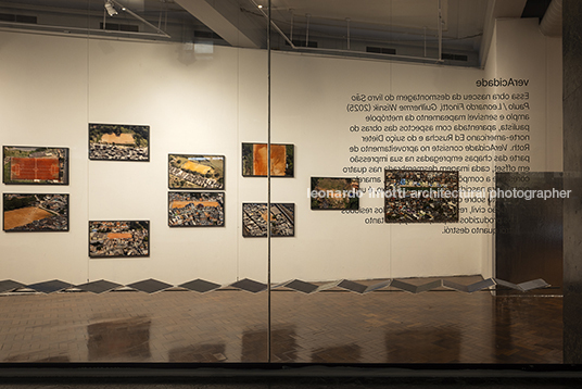 leonardo finotti: são paulo, multiplicidade - caixa cultural agnaldo farias