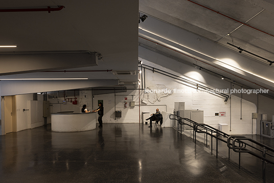 pétalas e estrelas 