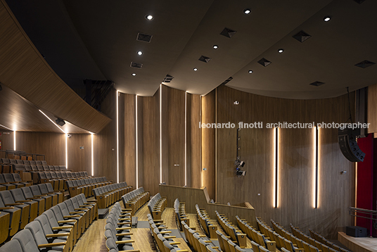 pétalas e estrelas 