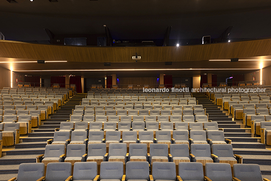 pétalas e estrelas 