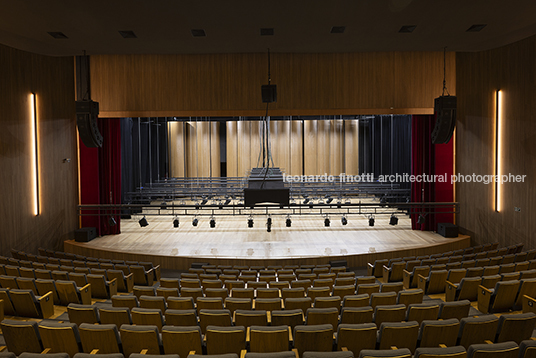 pétalas e estrelas 