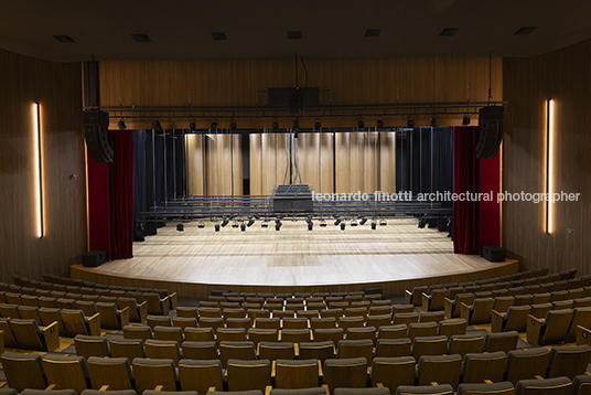 pétalas e estrelas 