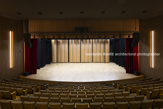 pétalas e estrelas 