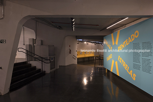 pétalas e estrelas 