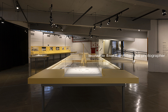 pétalas e estrelas 