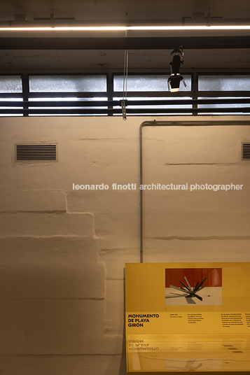 pétalas e estrelas 