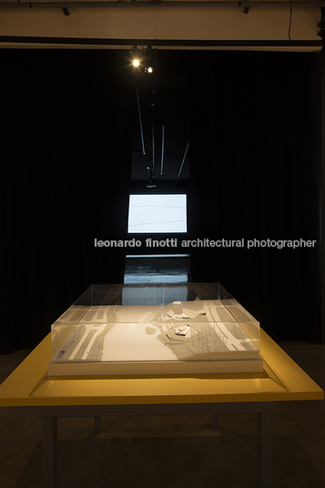 pétalas e estrelas 