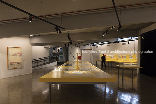 pétalas e estrelas 