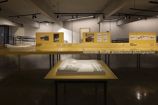 pétalas e estrelas 