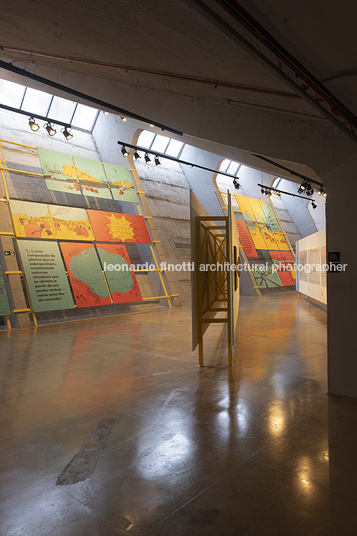 pétalas e estrelas 