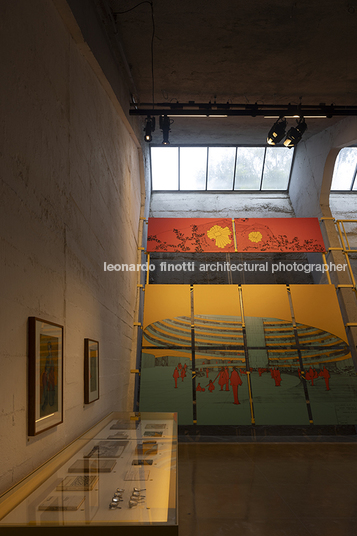 pétalas e estrelas 