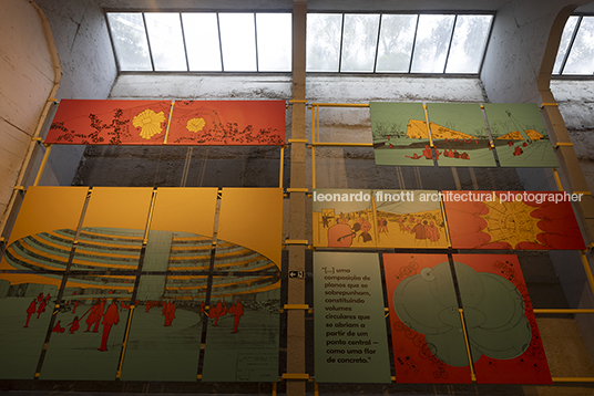 pétalas e estrelas 