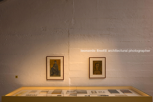 pétalas e estrelas 