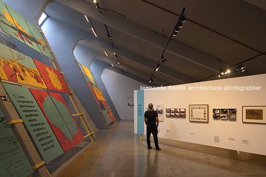 pétalas e estrelas 