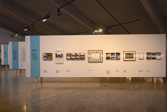 pétalas e estrelas 