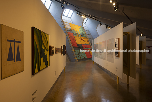 pétalas e estrelas 