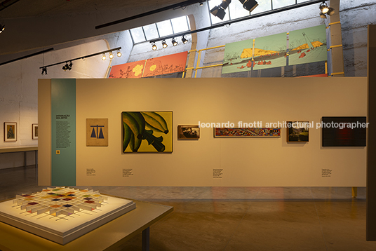 pétalas e estrelas 