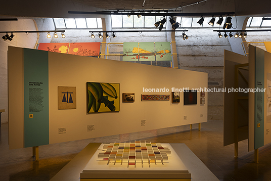 pétalas e estrelas 