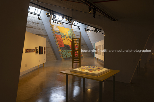 pétalas e estrelas 