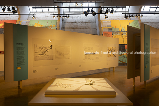 pétalas e estrelas 