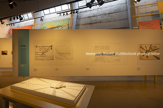 pétalas e estrelas 