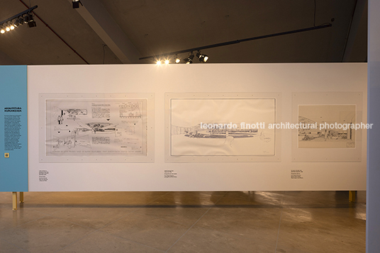 pétalas e estrelas 