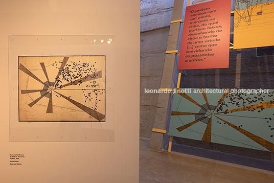 pétalas e estrelas 