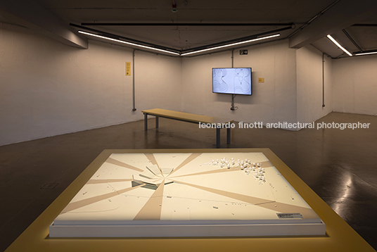 pétalas e estrelas 