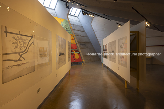 pétalas e estrelas 