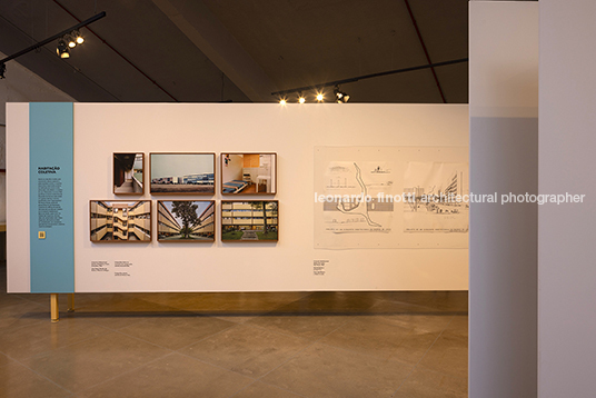 pétalas e estrelas 