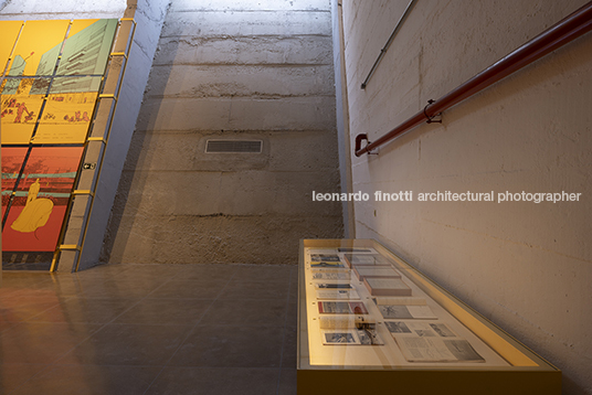 pétalas e estrelas 