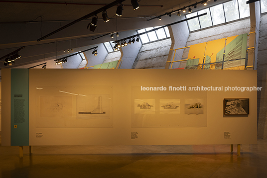 pétalas e estrelas 