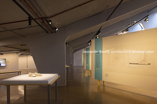 pétalas e estrelas 