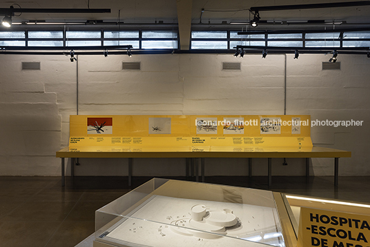 fábio penteado: pétalas e estrelas guilherme wisnik