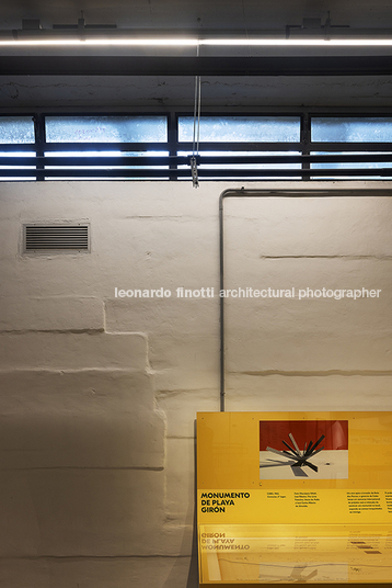 fábio penteado: pétalas e estrelas guilherme wisnik