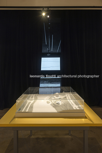 fábio penteado: pétalas e estrelas guilherme wisnik