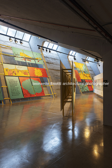 fábio penteado: pétalas e estrelas guilherme wisnik