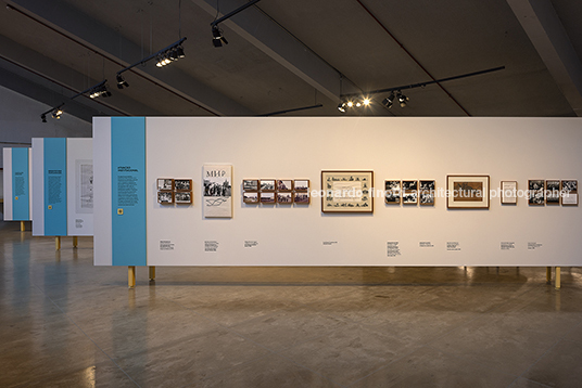 fábio penteado: pétalas e estrelas guilherme wisnik