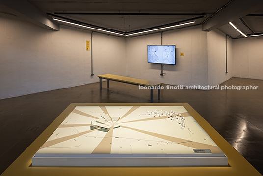 fábio penteado: pétalas e estrelas guilherme wisnik