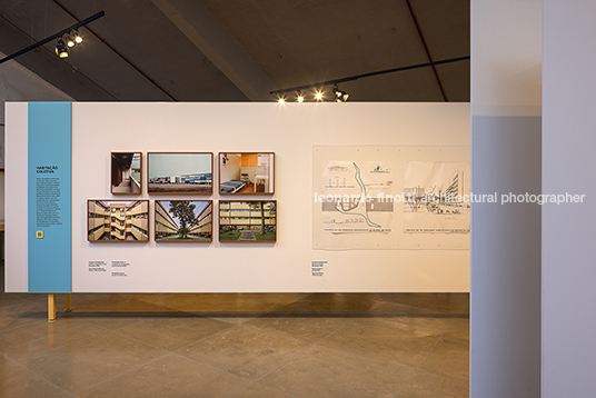 fábio penteado: pétalas e estrelas guilherme wisnik