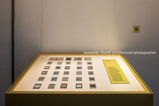 fábio penteado: pétalas e estrelas guilherme wisnik