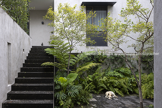 casa molusco pantera javier dueñas