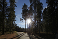 woodland cemetery crematorium johan celsing