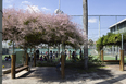 sesc birigui teuba arquitetura e urbanismo