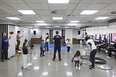 sesc bauru szpigel e magalhães