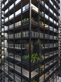 edifício 141 living acaraí alessandra lima
