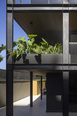edifício 141 living acaraí alessandra lima