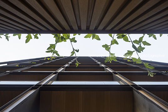 edifício 141 living acaraí alessandra lima